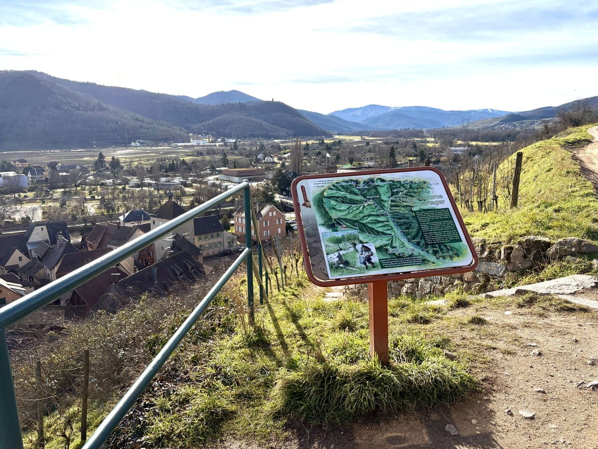 Turckheim ville sur la route des vins d'Alsace