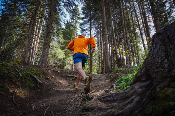 Trail Alsace
