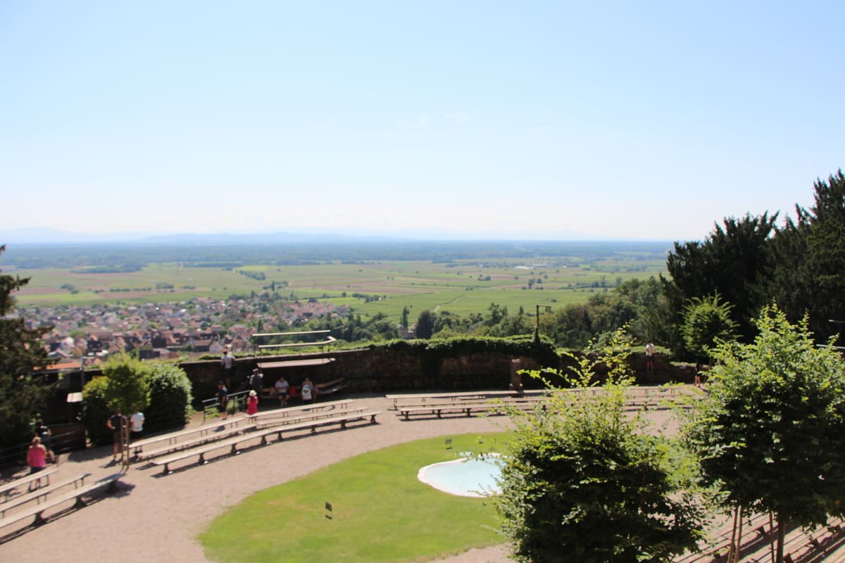 La volerie des AIgles 16 site du chateau de Kintzheim