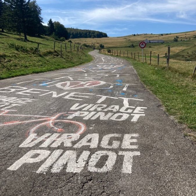 CYCLO COL DU PETIT BALLON ET COL DU PLATZERWEIZEL