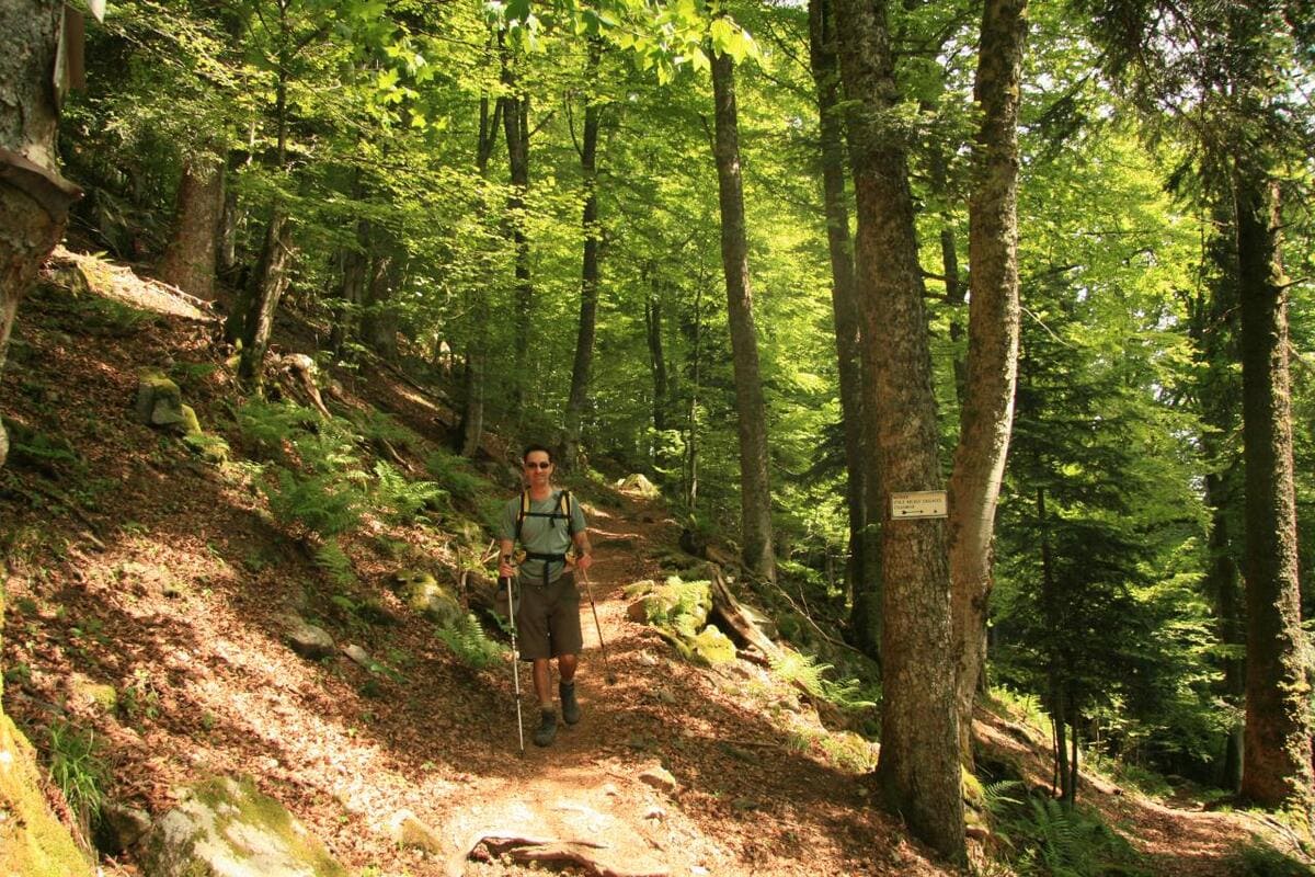 Sentier des Roches Sentier des Roches