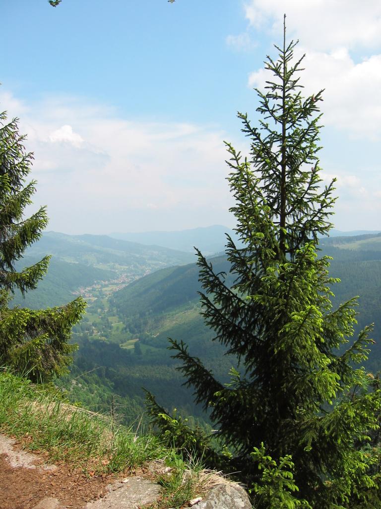 photo 898 sentier des Roches
