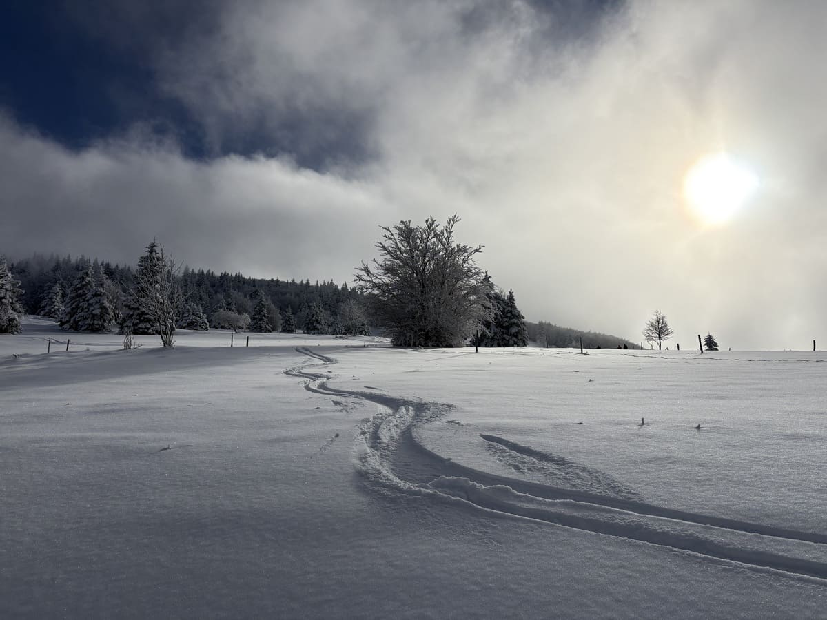 Hors piste au Grand Ballon