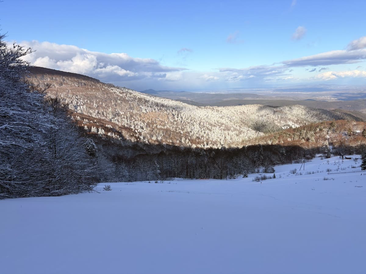 ski dans les vosges.