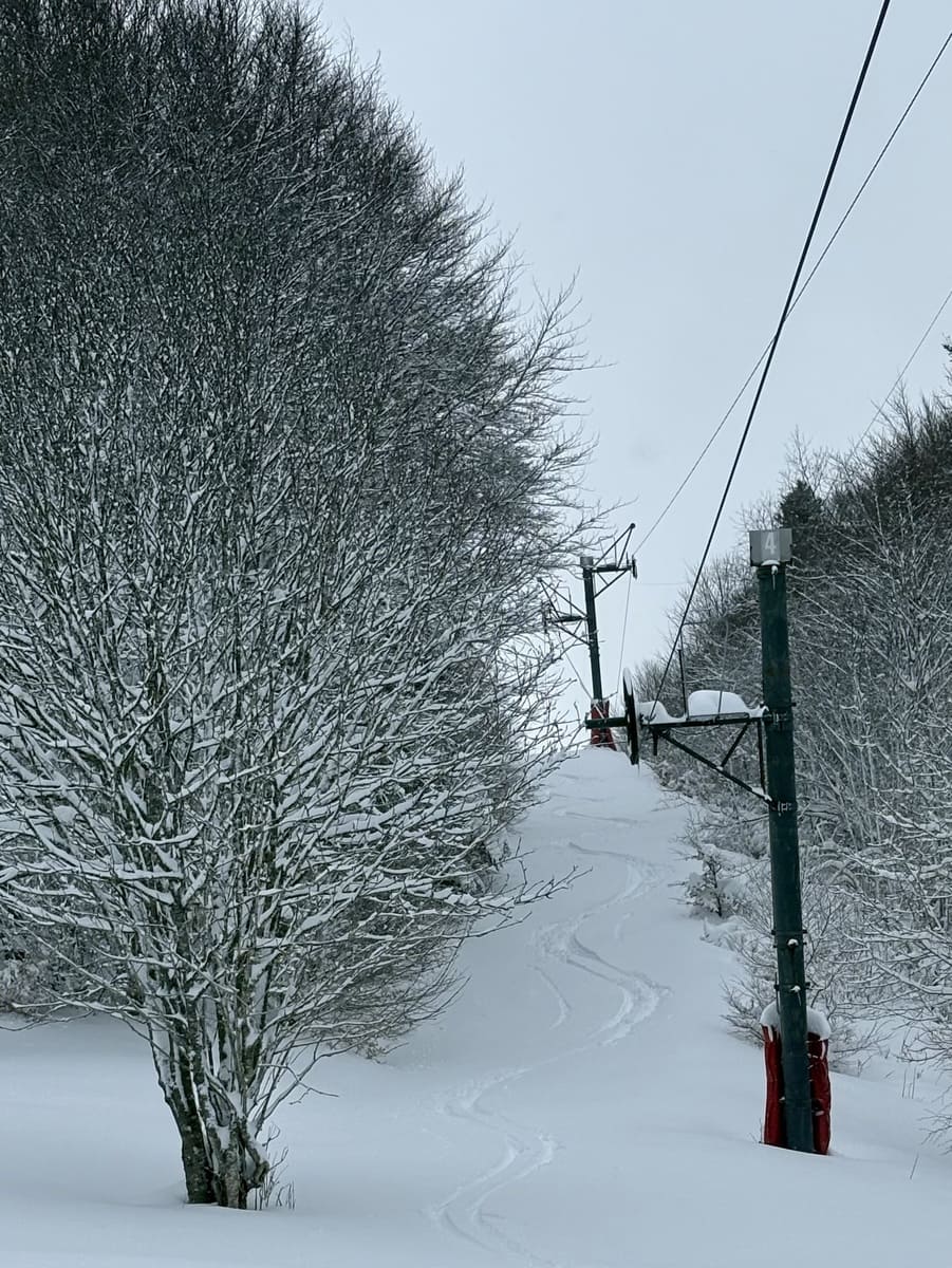 ski dans les vosges.