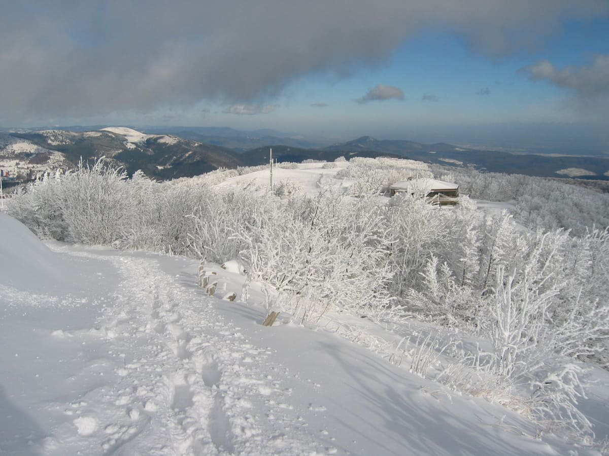 vosges en hiver