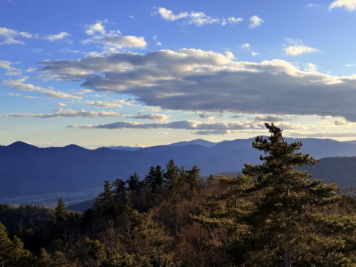 vue vers le Grand Ballon