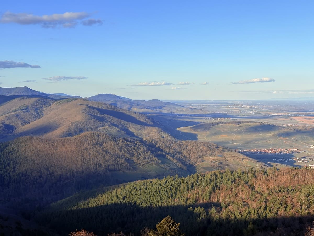 vue vers le chateau du Haut Koenigsbourg