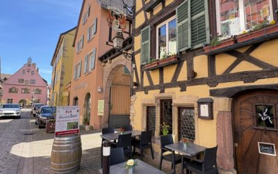 LES VISITES DE CAVES AUTOUR DE TURCKHEIM