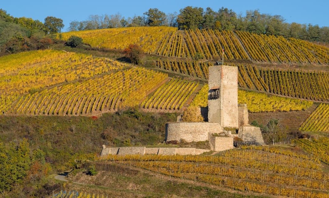 LES VISITES DE CAVES A KATZENTHAL