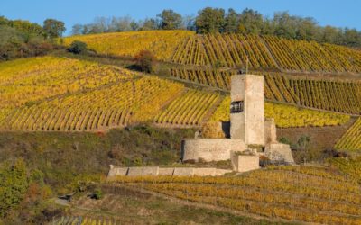 LES VISITES DE CAVES A KATZENTHAL
