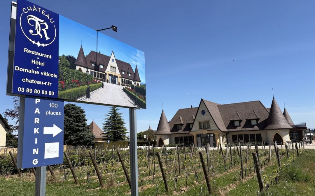 DEGUSTATION DE VINS D&rsquo;ALSACE A WETTOLSHEIM