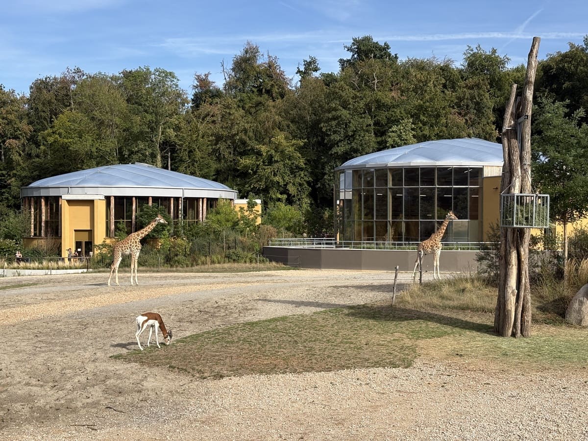 girafes mulhouse