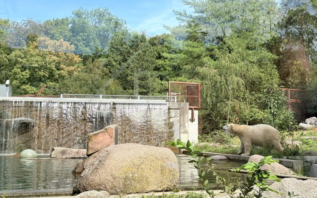 zoo de Mulhouse